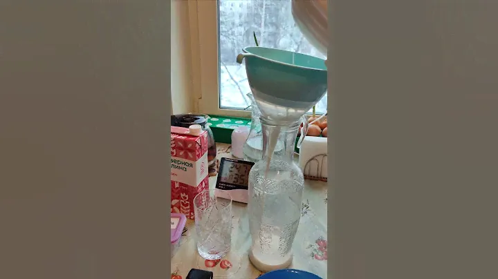 Кефир из сквашенного кефирными грибками уп молока Северная долина "своими руками! 27 января 2024 г.