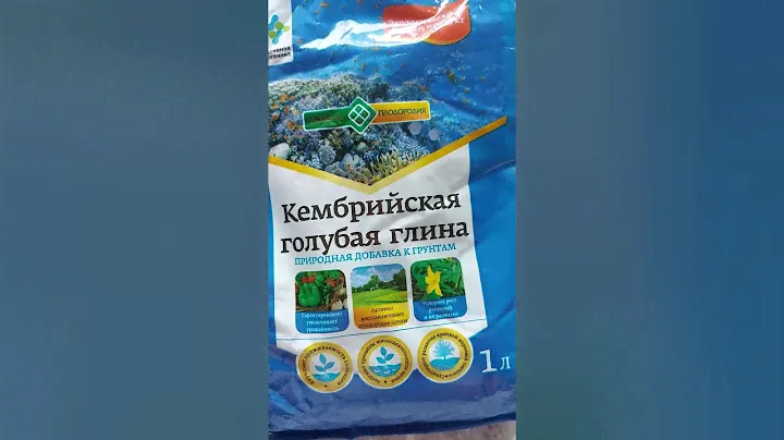 Кембрийская глина