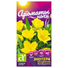 Энотера Желтая долина Семена Алтая