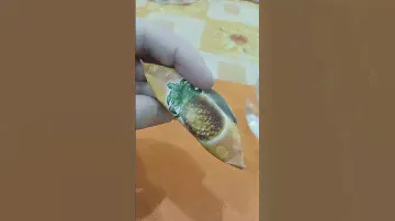 Ананасная долина