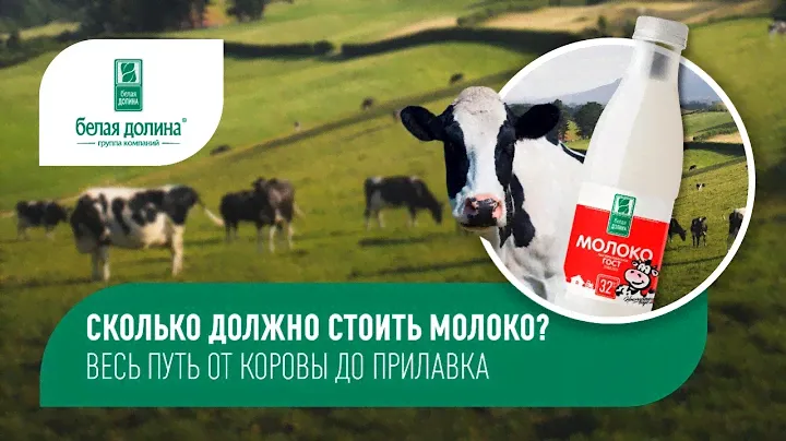 Сколько должно стоить молоко? Весь путь: от коровы до прилавка.