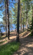 Продам земля сельхозназначения 10.0 сот район Выборгский поселок Красная Долина Приморское шоссе, 9781 км, Приморское городское поселение, комплекс Красная Долина, дачный