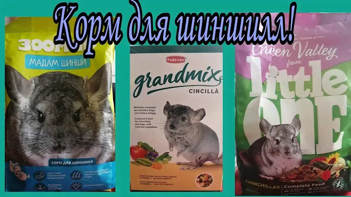 Корм для шиншилл. Обзор кормов.