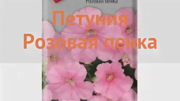 Петуния обыкновенная Розовая пенка 🌿 обзор: как сажать, семена петунии Розовая пенка