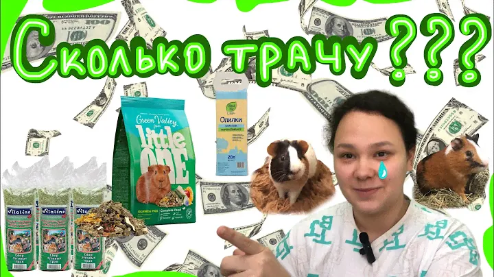 Сколько денег уходит на морских свинок?😱/финансы/￼как рассчитываю сочный корм?/сено/наполнитель