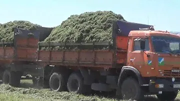 Учебный фильм по проведению основных этапов заготовки сенажа