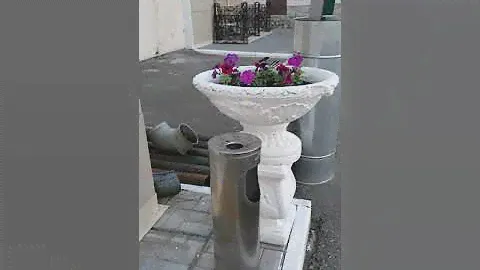 Санаторий Долина Алтая