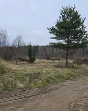 Продам земля сельхозназначения 9.0 сот район Выборгский поселок Красная Долина Приморское шоссе, 57 км, Приморское городское поселение, комплекс Красная Долина, дачный